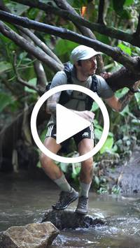 BIB:  <button type="button" onclick="openModal(27808788)" class="btn btn-primary btn-sm float-right" data-toggle="modal" data-target=".modal-high-quality">
                <i class="fa fa-download"></i> Download
                </button>